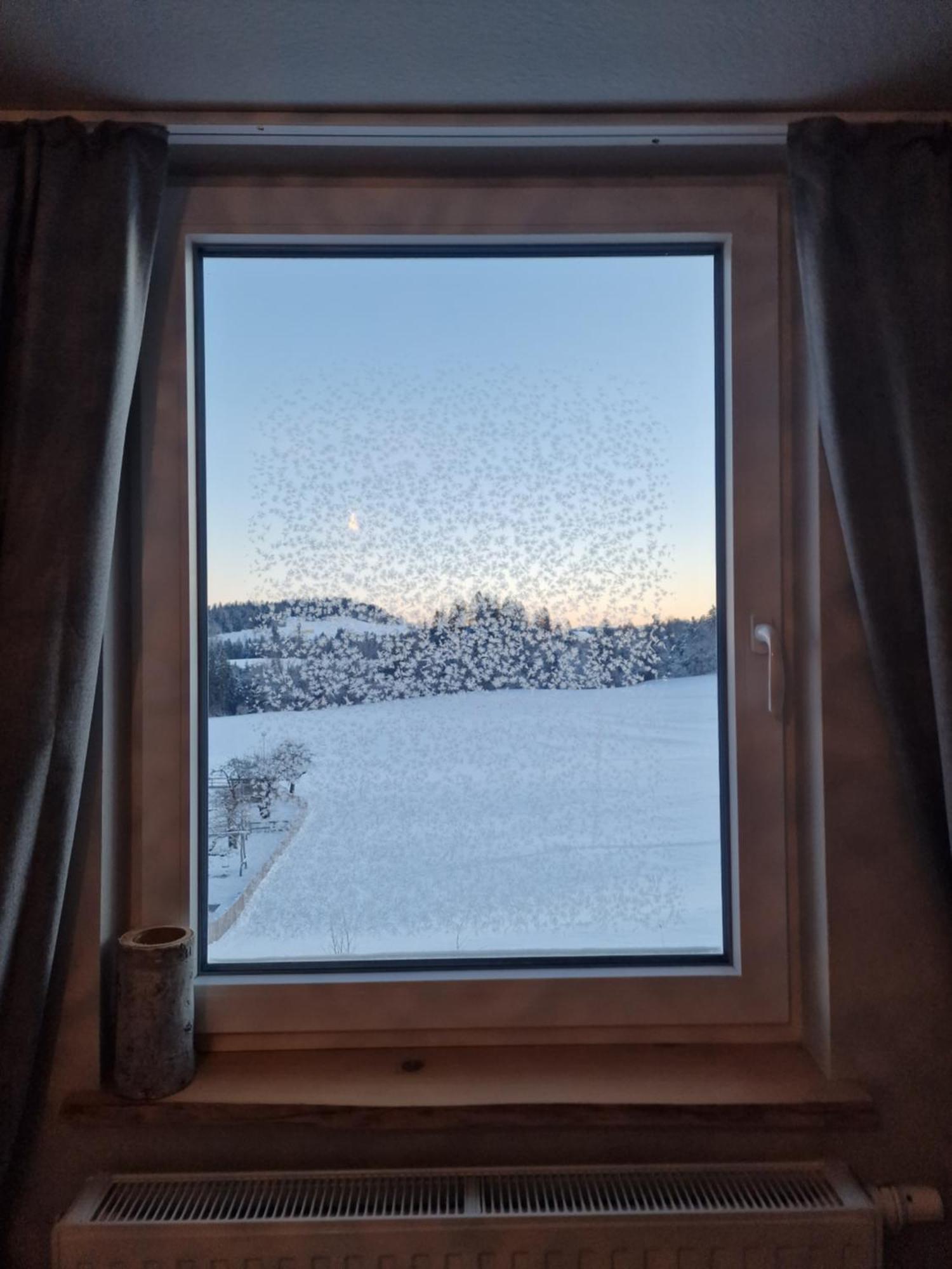Der Perfekte Ausgangspunkt Lägenhet Weiler-Simmerberg Exteriör bild